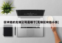 区块链的先锋公司是哪个[先锋区块链小镇]