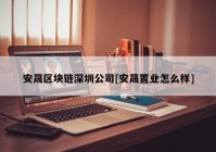 安晟区块链深圳公司[安晟置业怎么样]